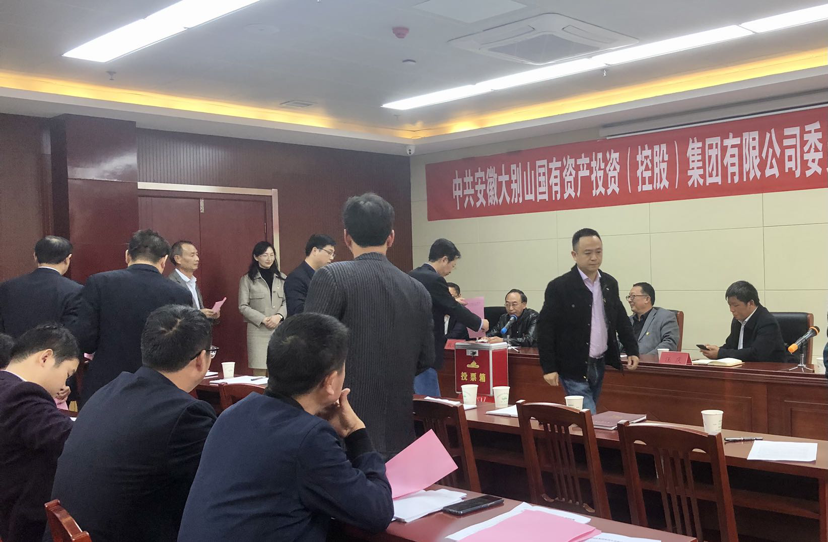 大別山國(guó)投集團(tuán)黨委、紀(jì)委正式成立