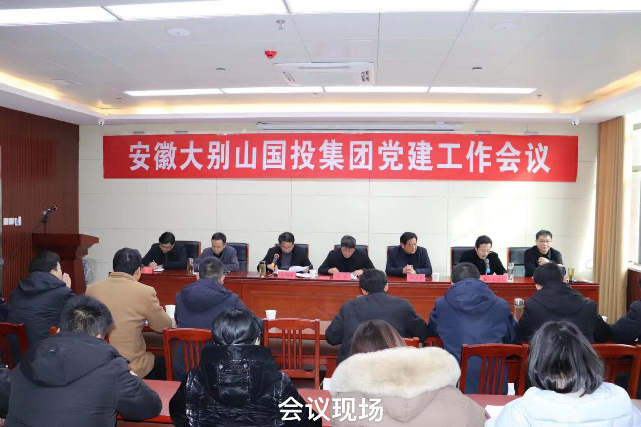 大別山國(guó)投集團(tuán)召開黨建工作會(huì)議