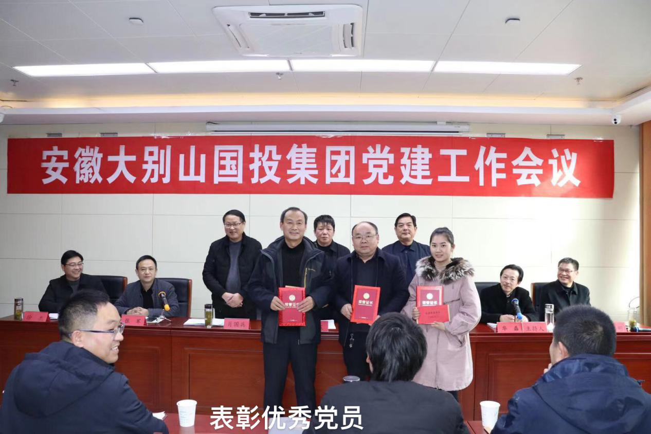 大別山國(guó)投集團(tuán)召開黨建工作會(huì)議