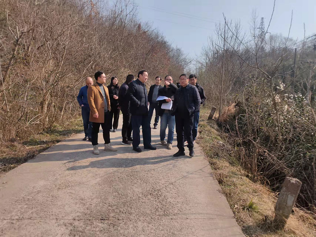 圣人山礦外運(yùn)道路改造施工圖內(nèi)審會議召開