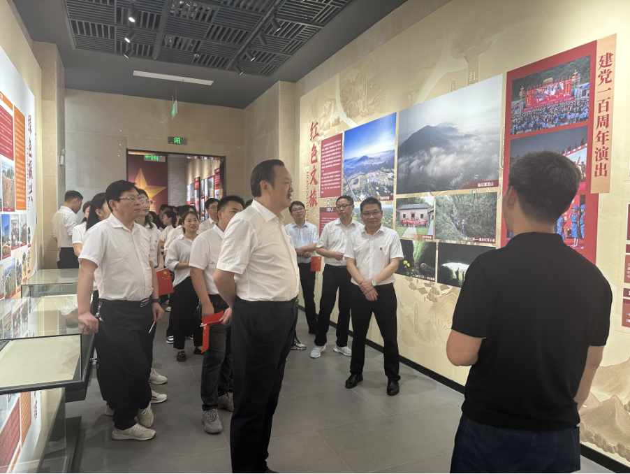 大別山國(guó)投集團(tuán)開展“迎七一”主題黨日活動(dòng)