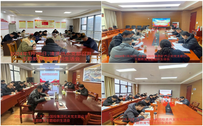 國(guó)投集團(tuán)召開(kāi)主題教育專題組織生活會(huì)