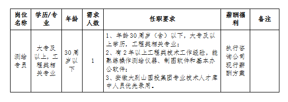 安徽大別山工程咨詢(xún)有限公司2024年招聘臨時(shí)工作人員公告