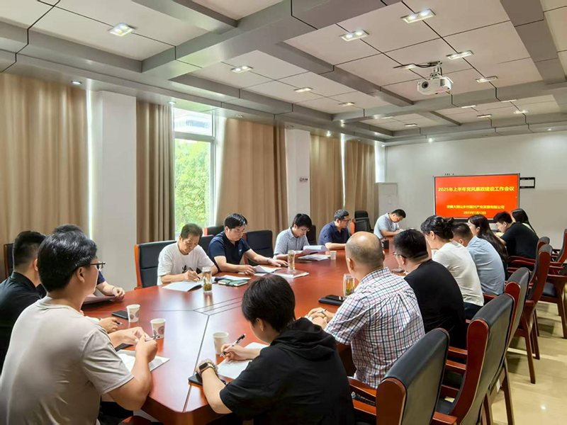 鄉(xiāng)村振興公司召開2025年上半年度黨風(fēng)廉政建設(shè)工作會(huì)議